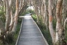 Newport NSWsustainable-landscaping-14.jpg; ?>